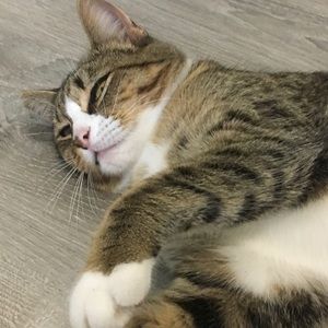 Meet your Posher, Brooke